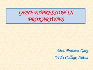 GENE EXPRESSION IN
PROKARYOTES
Mrs. Praveen Garg
VITS College, Satna
 
