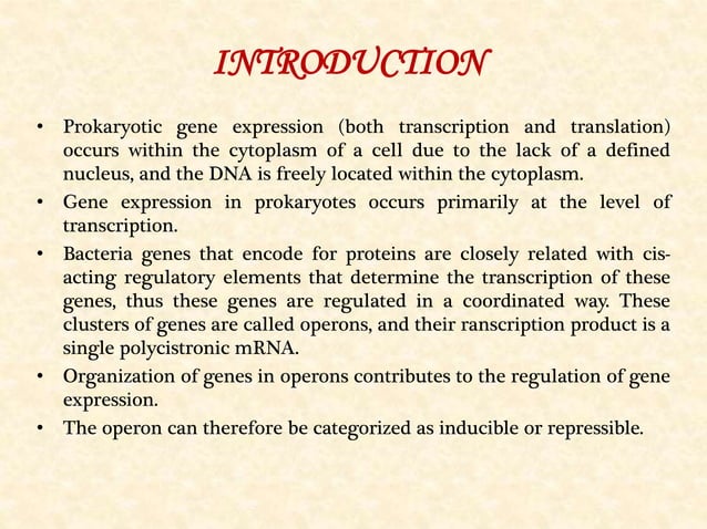 Gene expression in prokaryotes | PPTX | Chemistry | Science