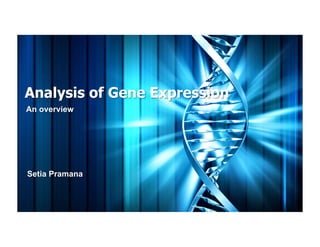 Analysis of Gene Expression
An overview




Setia Pramana
 