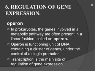 Gene - Expression and its Regulation.pptx