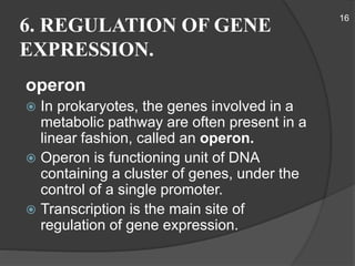 Gene expression & its regulation. | PPTX