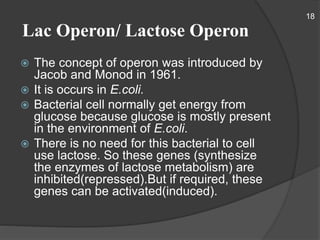 Lac Operon/ Lactose Operon
 The concept of operon was introduced by
Jacob and Monod in 1961.
 It is occurs in E.coli.
 Bacterial cell normally get energy from
glucose because glucose is mostly present
in the environment of E.coli.
 There is no need for this bacterial to cell
use lactose. So these genes (synthesize
the enzymes of lactose metabolism) are
inhibited(repressed).But if required, these
genes can be activated(induced).
18
 