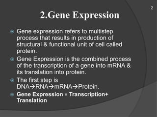 2.Gene Expression
 Gene expression refers to multistep
process that results in production of
structural & functional unit of cell called
protein.
 Gene Expression is the combined process
of the transcription of a gene into mRNA &
its translation into protein.
 The first step is
DNARNAmRNAProtein.
 Gene Expression = Transcription+
Translation
2
 