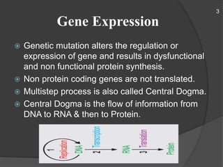 Gene Expression
 Genetic mutation alters the regulation or
expression of gene and results in dysfunctional
and non functional protein synthesis.
 Non protein coding genes are not translated.
 Multistep process is also called Central Dogma.
 Central Dogma is the flow of information from
DNA to RNA & then to Protein.
3
 