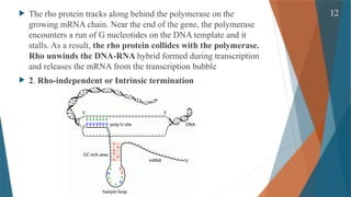 Gene Expression and its Regulation( Cellular & Molecular Phaemacology ...