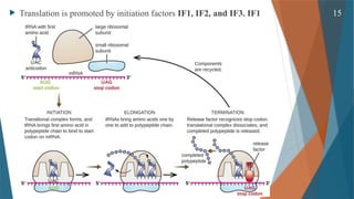 Gene Expression and its Regulation( Cellular & Molecular Phaemacology ...