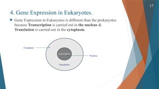 Gene Expression and its Regulation( Cellular & Molecular Phaemacology ...