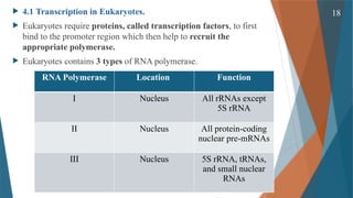 Gene Expression and its Regulation( Cellular & Molecular Phaemacology ...