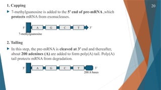 Gene Expression and its Regulation( Cellular & Molecular Phaemacology ...