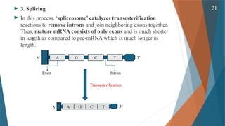Gene Expression and its Regulation( Cellular & Molecular Phaemacology ...