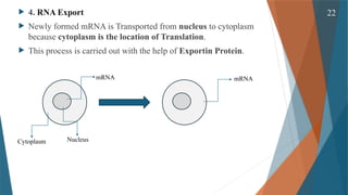 Gene Expression and its Regulation( Cellular & Molecular Phaemacology ...