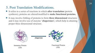 Gene Expression and its Regulation( Cellular & Molecular Phaemacology ...