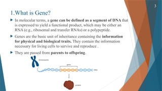 Gene Expression and its Regulation( Cellular & Molecular Phaemacology ...