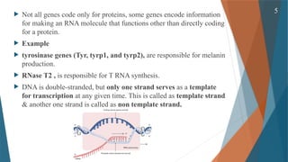 Gene Expression and its Regulation( Cellular & Molecular Phaemacology ...
