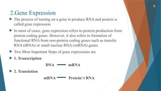 Gene Expression and its Regulation( Cellular & Molecular Phaemacology ...
