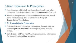 Gene Expression and its Regulation( Cellular & Molecular Phaemacology ...