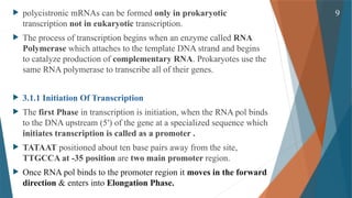 Gene Expression and its Regulation( Cellular & Molecular Phaemacology ...