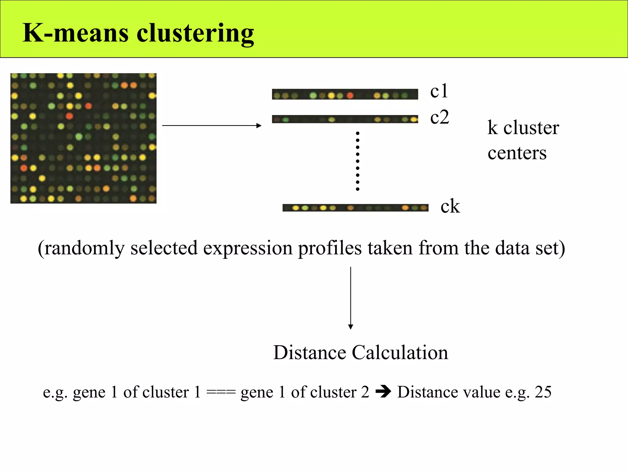 K-means clustering k cluster centers (randomly selected expression profiles taken from the data set) ……… c1 c2 ck Distance Calculation e.g. gene 1 of cluster 1 === gene 1 of cluster 2    Distance value e.g. 25 