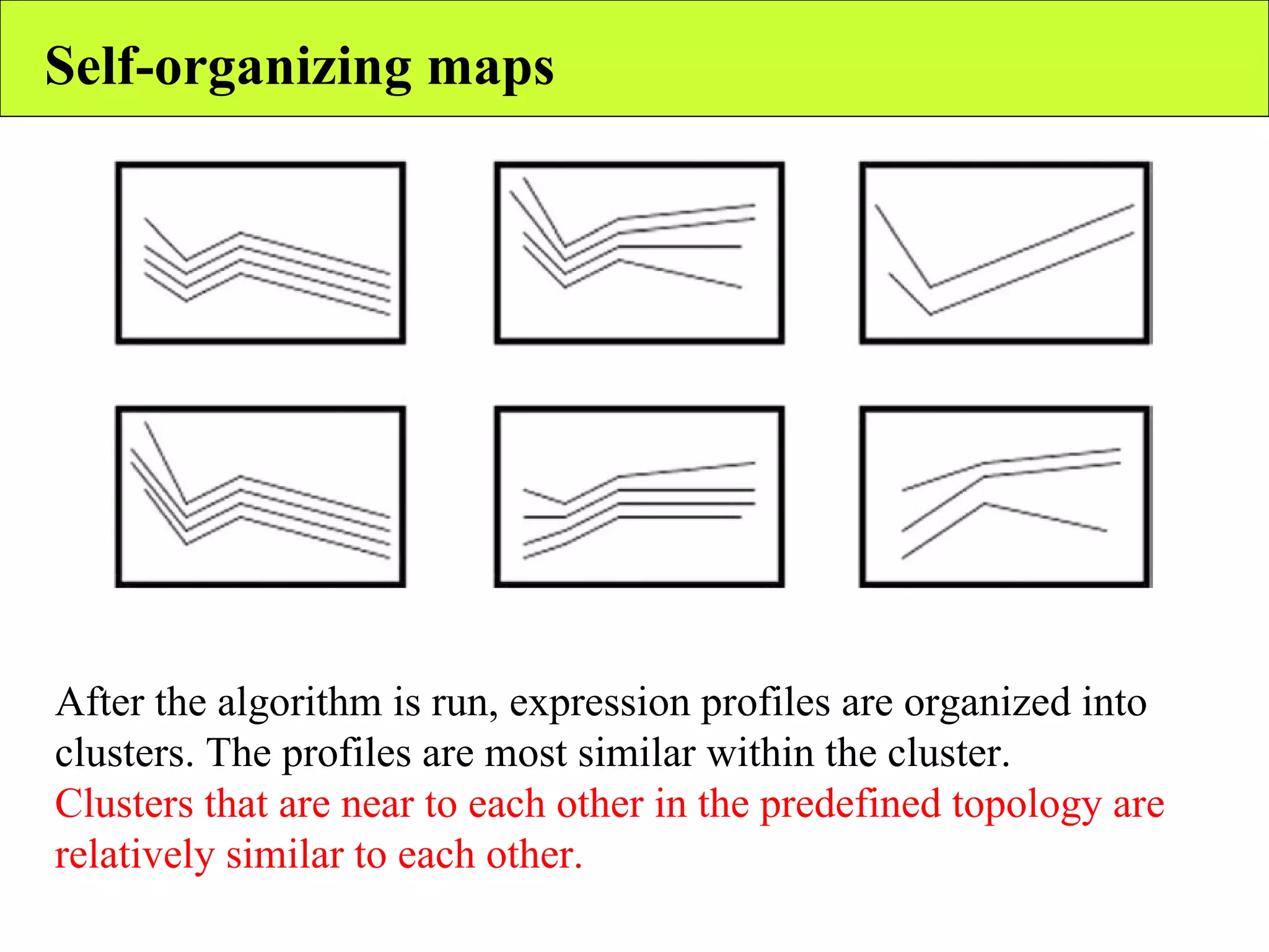 Self-organizing maps After the algorithm is run, expression profiles are organized into clusters. The profiles are most similar within the cluster. Clusters that are near to each other in the predefined topology are relatively similar to each other. 