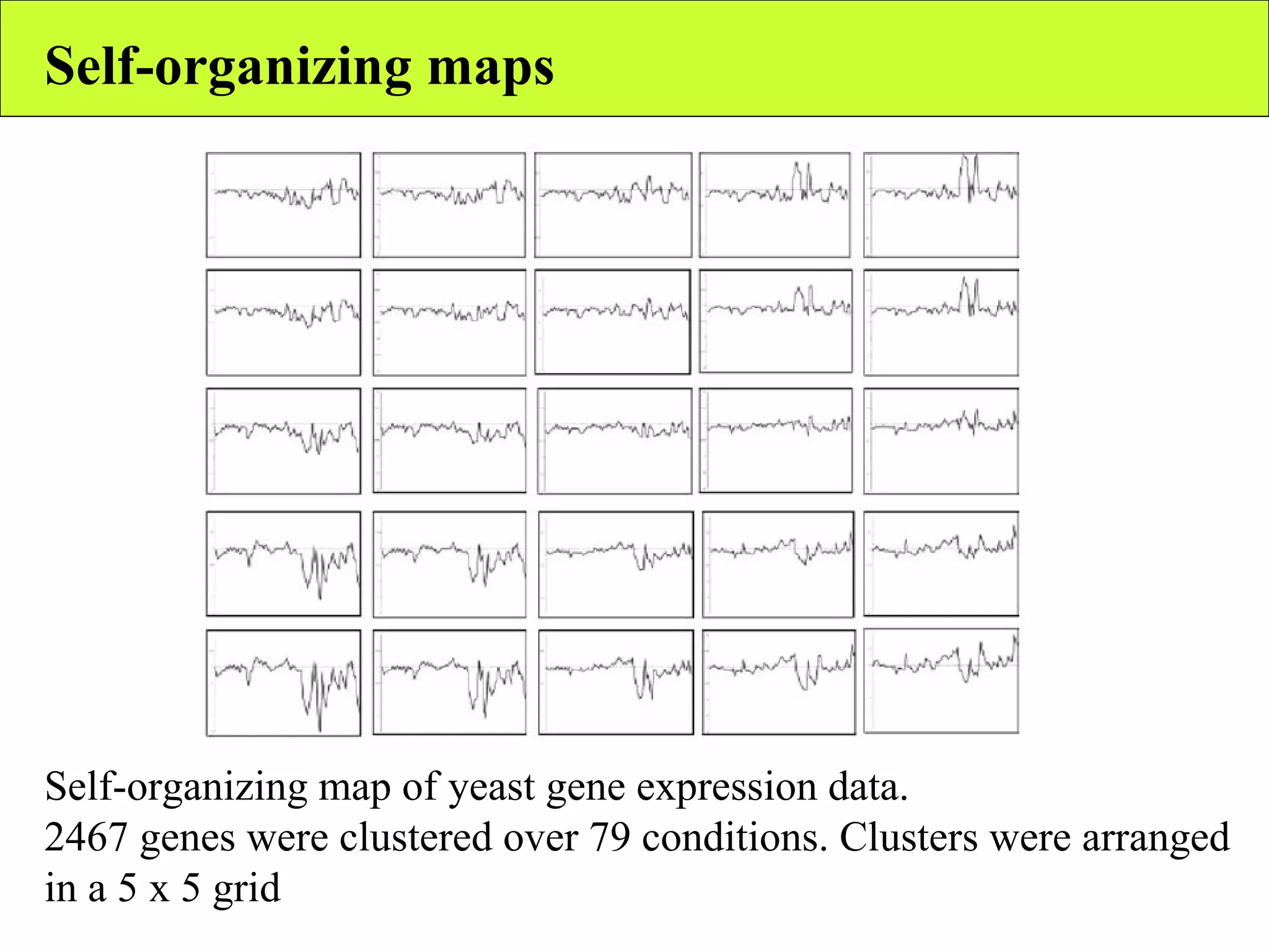 Self-organizing maps Self-organizing map of yeast gene expression data.  2467 genes were clustered over 79 conditions. Clusters were arranged in a 5 x 5 grid 