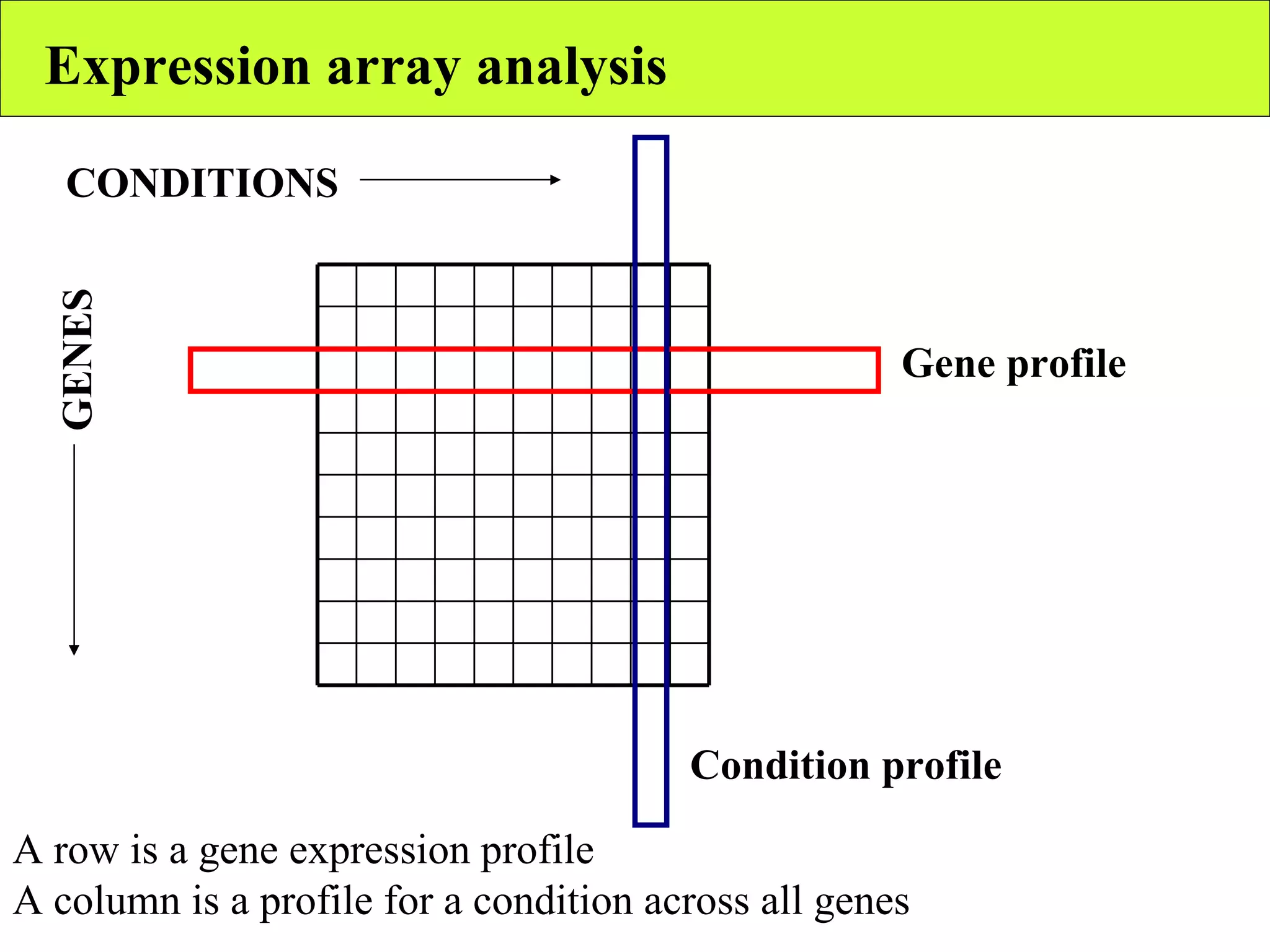 Expression array analysis CONDITIONS GENES Gene profile Condition profile A row is a gene expression profile A column is a profile for a condition across all genes 