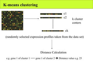 K-means clustering k cluster centers (randomly selected expression profiles taken from the data set) ……… c1 c2 ck Distance Calculation e.g. gene 1 of cluster 1 === gene 1 of cluster 2    Distance value e.g. 25 