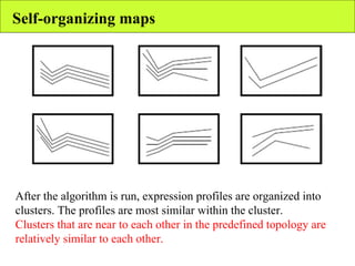 Self-organizing maps After the algorithm is run, expression profiles are organized into clusters. The profiles are most similar within the cluster. Clusters that are near to each other in the predefined topology are relatively similar to each other. 