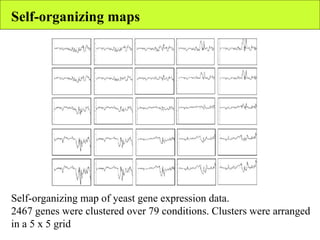 Self-organizing maps Self-organizing map of yeast gene expression data.  2467 genes were clustered over 79 conditions. Clusters were arranged in a 5 x 5 grid 