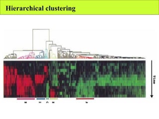 Hierarchical clustering 