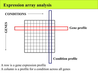 Expression array analysis CONDITIONS GENES Gene profile Condition profile A row is a gene expression profile A column is a profile for a condition across all genes 