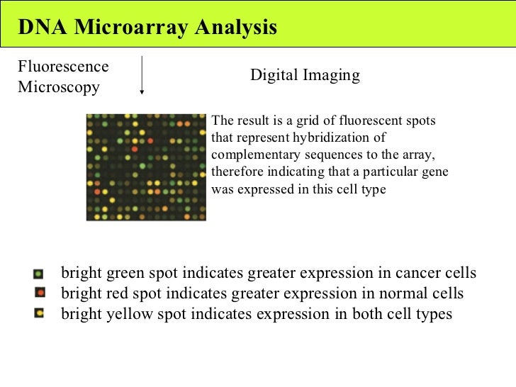 Gene expression profiling i