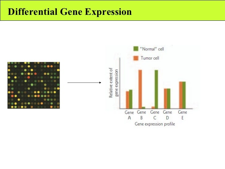 Gene expression profiling i