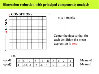 Dimension reduction with principal components analysis m  GENES n  CONDITIONS m x n matrix Center the data so that for each condition the mean expression is  zero e.g.  cond1 cond2 Mean =0 Mean=0 -4 -2 -1 -6 8 -6 -2 -4 -13 4 -2 2 -5 -5 -15 10 5 7 8 -5 