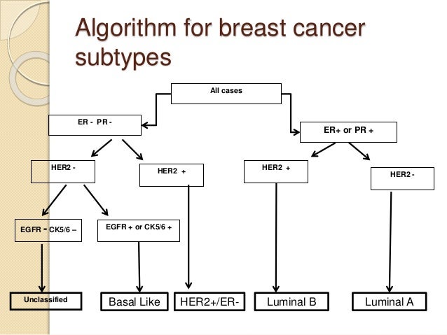 What is egfr in breast cancer