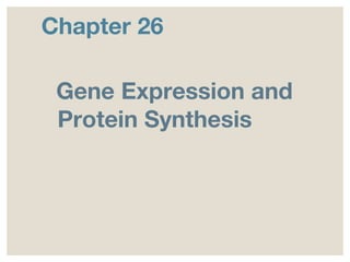 Chapter 26
Gene Expression and
Protein Synthesis
 