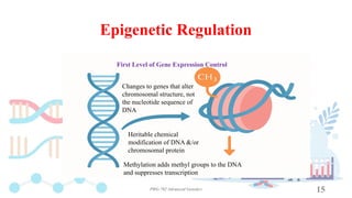 Gene Expression & Regulation in Eukaryotes.pptx