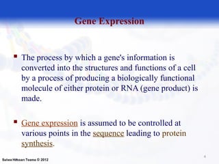 Gene expression slide | PPT