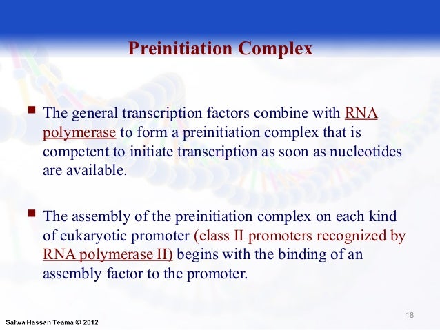gene expression slide rna pol ii promoters which of the following form the preinitiation complex pic