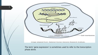Gene expression system | PPTX