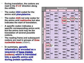 Comprehensive Overview of Gene Expression and Regulation Mechanisms | PPT