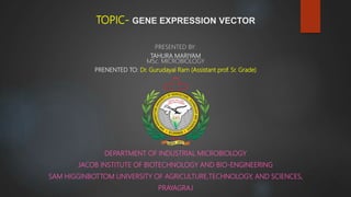TOPIC- GENE EXPRESSION VECTOR
PRESENTED BY:
TAHURA MARIYAM
MSc. MICROBIOLOGY
PRENENTED TO: Dr. Gurudayal Ram (Assistant prof. Sr. Grade)
DEPARTMENT OF INDUSTRIAL MICROBIOLOGY
JACOB INSTITUTE OF BIOTECHNOLOGY AND BIO-ENGINEERING
SAM HIGGINBOTTOM UNIVERSITY OF AGRICULTURE,TECHNOLOGY, AND SCIENCES,
PRAYAGRAJ
 