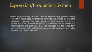 Gene expression vector by tahura mariyam ansari | PPTX