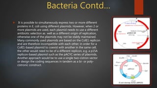 Gene expression vector by tahura mariyam ansari | PPTX