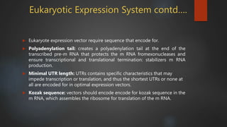 Gene expression vector by tahura mariyam ansari | PPTX