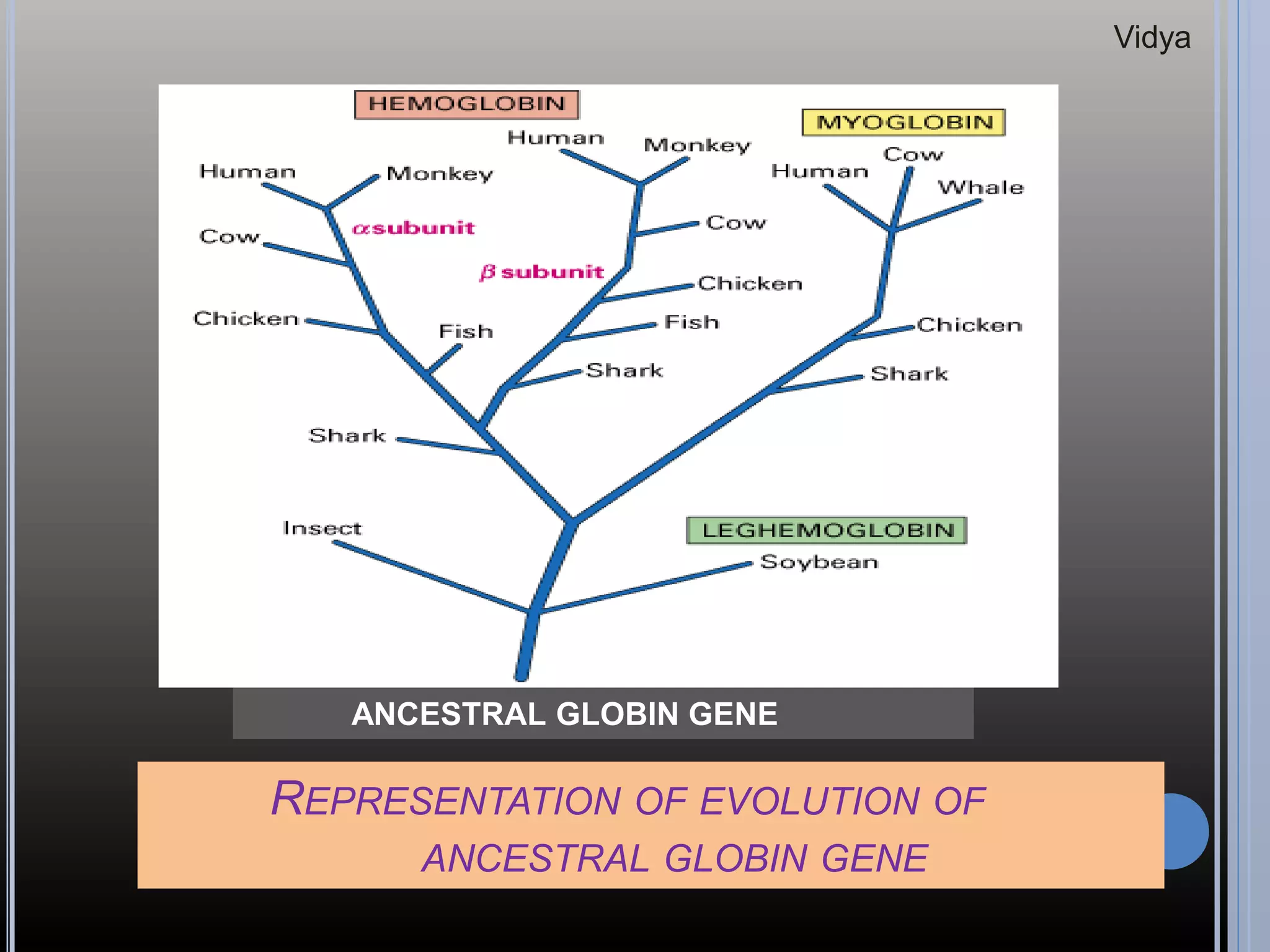 Gene families and clusters | PPTX