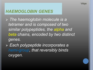HAEMOGLOBIN GENES
 The haemoglobin molecule is a
tetramer and is composed of two
similar polypeptides, the alpha and
beta chains, encoded by two distinct
genes.
 Each polypeptide incorporates a
hemi-group, that reversibly binds
oxygen.
Vidya
 