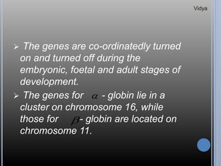  The genes are co-ordinatedly turned
on and turned off during the
embryonic, foetal and adult stages of
development.
 The genes for - globin lie in a
cluster on chromosome 16, while
those for - globin are located on
chromosome 11.


Vidya
 