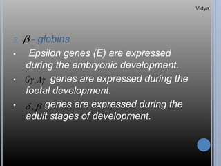 2. - globins
• Epsilon genes (E) are expressed
during the embryonic development.
• genes are expressed during the
foetal development.
• genes are expressed during the
adult stages of development.

 AG ,
 ,
Vidya
 
