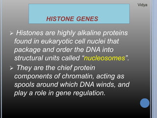 HISTONE GENES
 Histones are highly alkaline proteins
found in eukaryotic cell nuclei that
package and order the DNA into
structural units called “nucleosomes”.
 They are the chief protein
components of chromatin, acting as
spools around which DNA winds, and
play a role in gene regulation.
Vidya
 