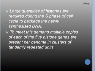  Large quantities of histones are
required during the S phase of cell
cycle to package the newly
synthesised DNA.
 To meet this demand multiple copies
of each of the five histone genes are
present per genome in clusters of
tandemly repeated units.
Vidya
 
